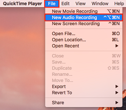New Audio Recording button