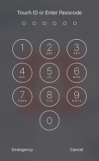 Passcode lock entry to iPhone