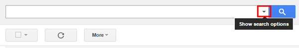 Select Gmail search options