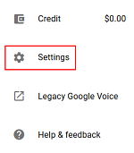 Google Voice settings