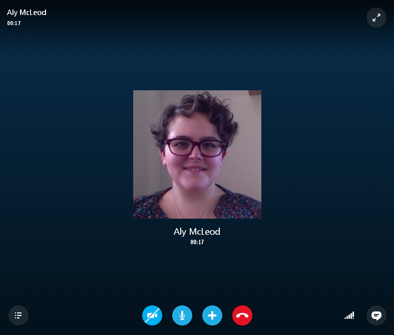 The Skype voice and video call interface