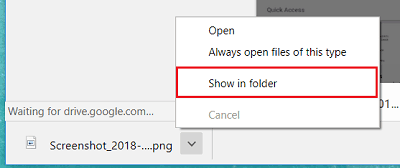 Show in Folder option for files