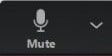 Zoom Mute/Unmute button