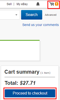 View eBay checkout screen