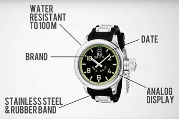 Descriptive information about a watch