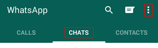 Extra WhatsApp chat options