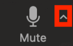 Arrow next to the Mute/Unmute icon