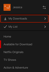 My Downloads button