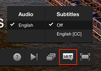 Subtitle settings button