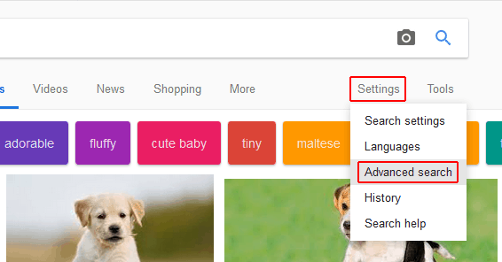 Accessing advanced image search options on Google Search