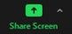 Share screen button