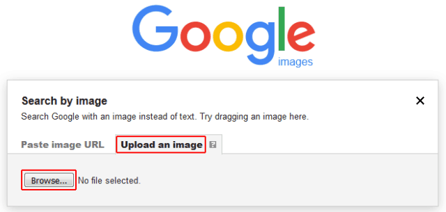 Conduct an image search using an uploaded image