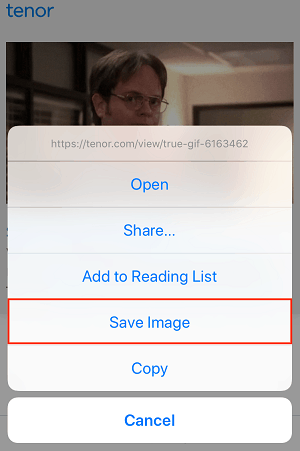 Save Image button