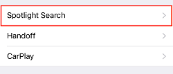 Spotlight Search option