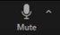 Mute button