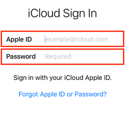 Apple ID sign in screen