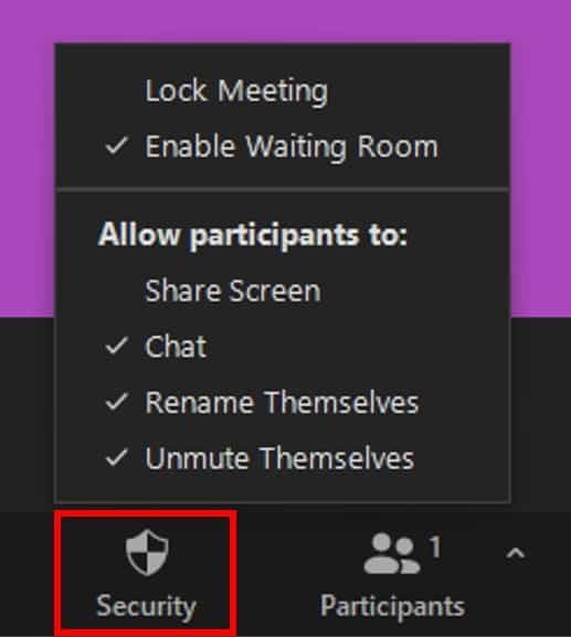 Security button with participant permission settings