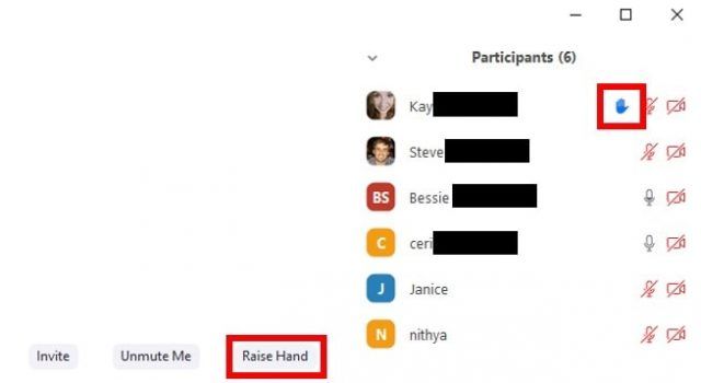 Meeting Raise Hand button followed by example of hand raised