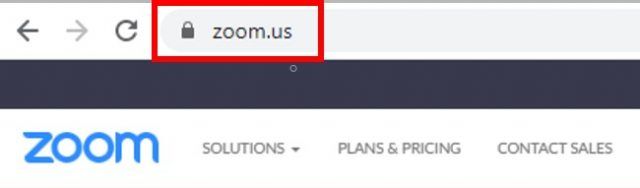 Website URL in browser