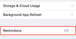 Restrictions menu option