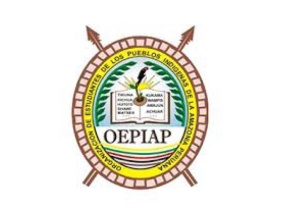 Logo of OEPIAP