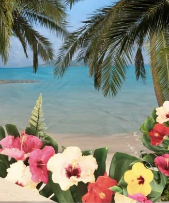 Tropical beach scene with palm fronds overhead, blue ocean, sand, and colorful hibiscus flowers in the foreground.