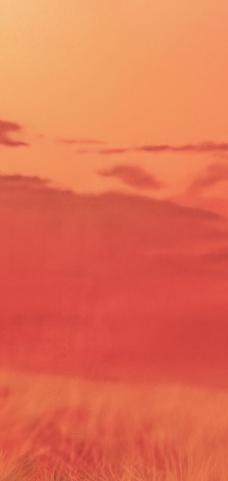 Image requires alternative text