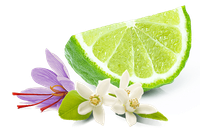 a slice of lime next to a purple flower