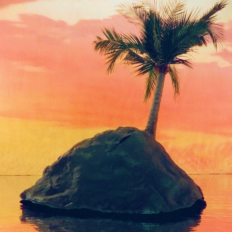 Lone palm tree on a small rock in the ocean at sunset.