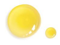 a yellow circle and a smaller yellow circle on a black background