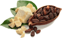 Cocoa beans in an open pod, cocoa butter chunks, and green leaves.