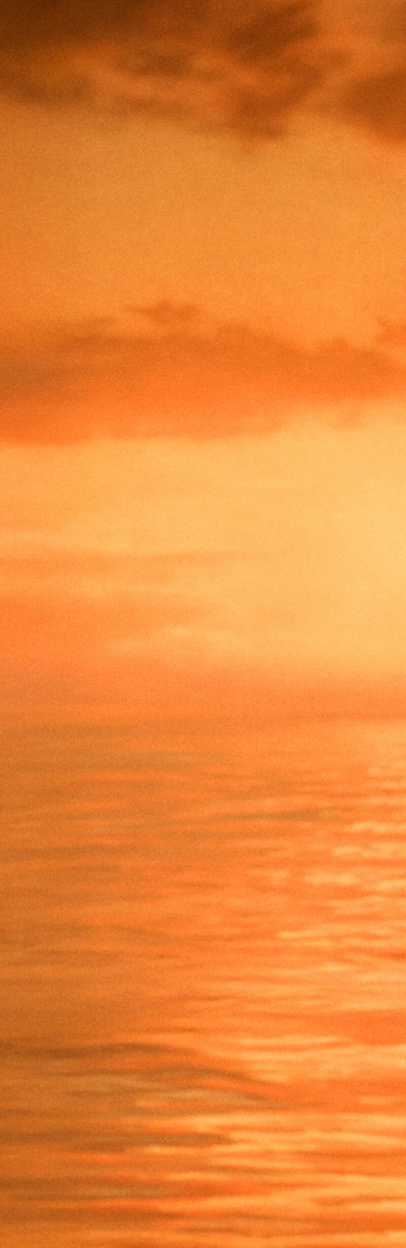 Image requires alternative text