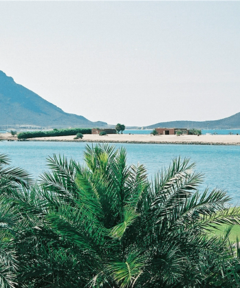 a view of a body of water with palm trees in the foreground