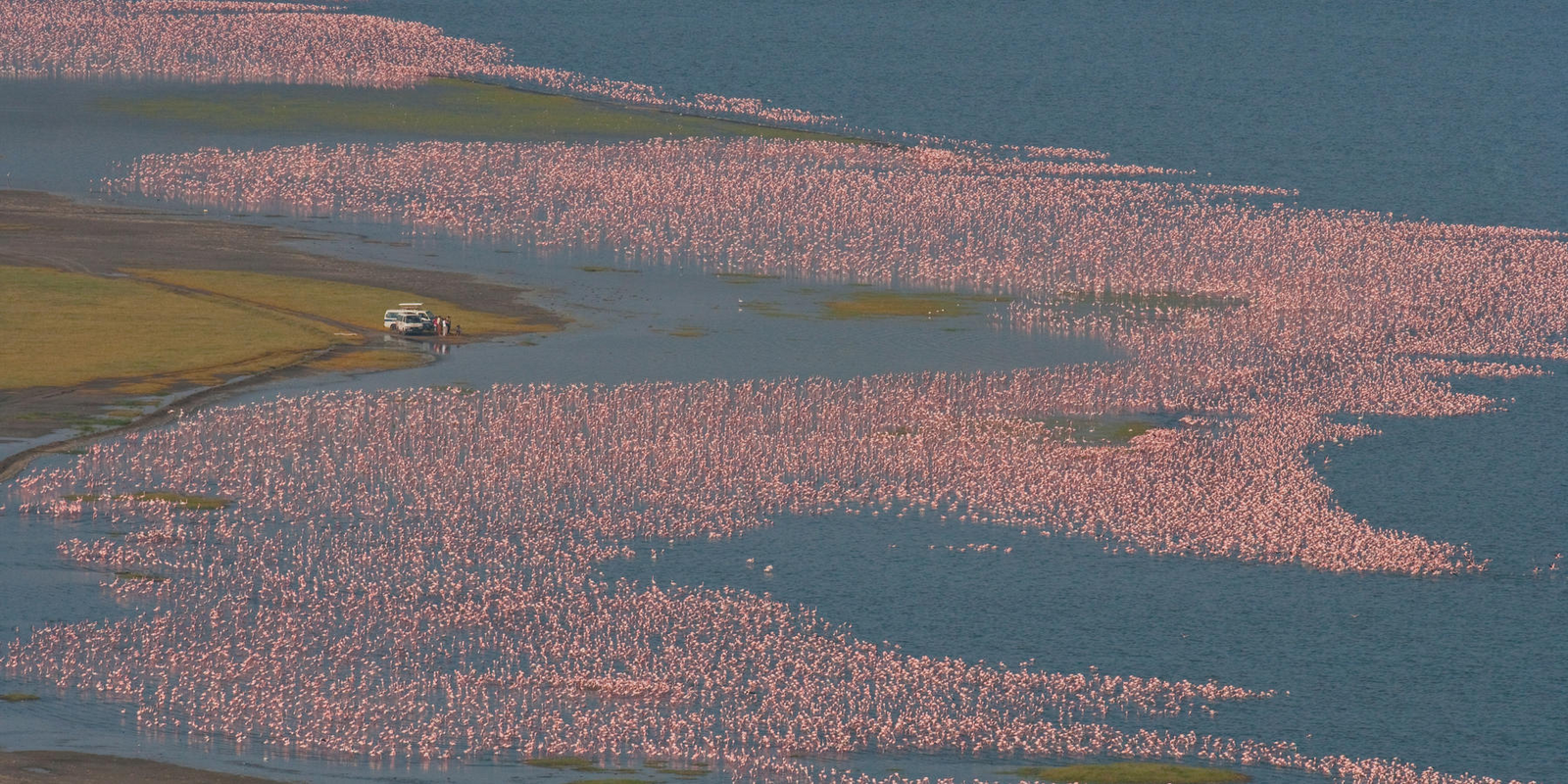 LAKE ELMENTEITA