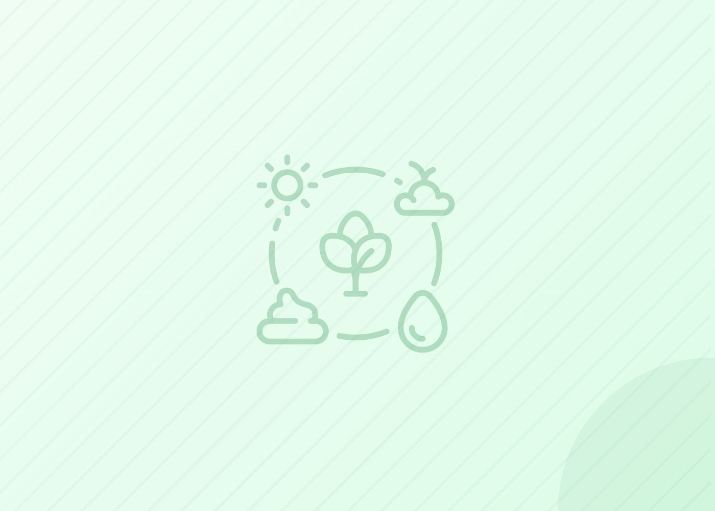 Ecosystems -- Learning Slides