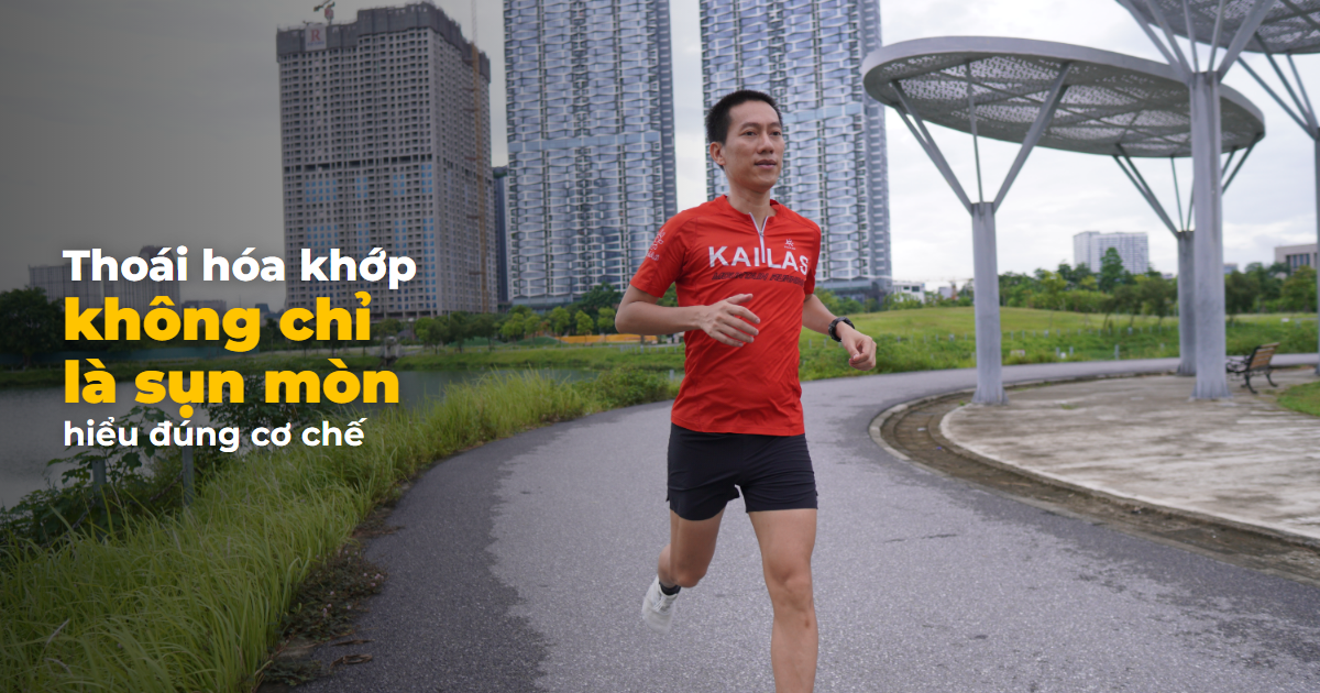 Thoái hóa khớp không chỉ là sụn mòn — vận động viên chạy bộ minh họa cơ chế khớp