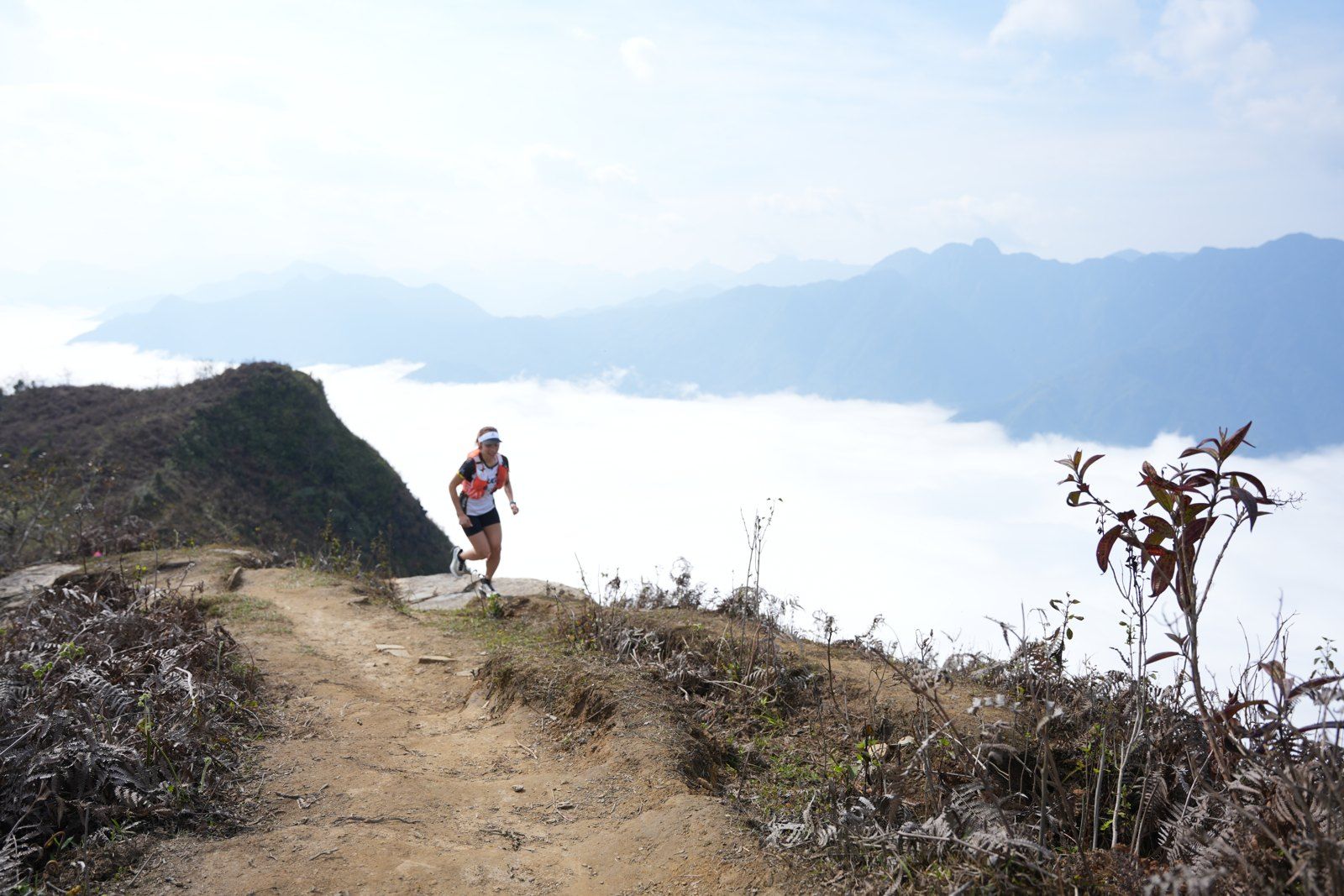 Một mình trên sống núi giữa biển mây — tinh thần của chạy ultra trail