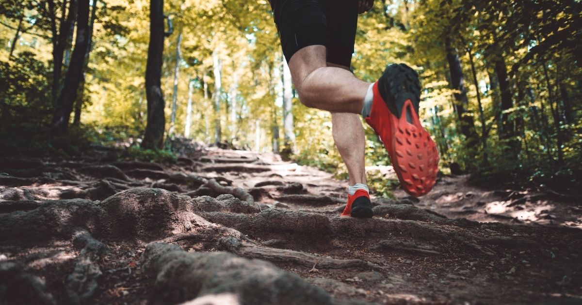 Chạy trail là gì? Khác chạy đường nhựa thế nào? Cẩm nang nhập môn an toàn cho người mới
