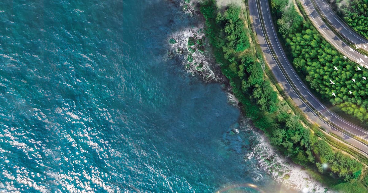 VnExpress Marathon Green Paradise Cần Giờ 2026 2026