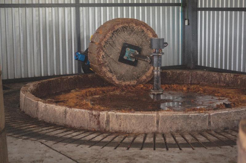 A mezcalero milling the agave hearts