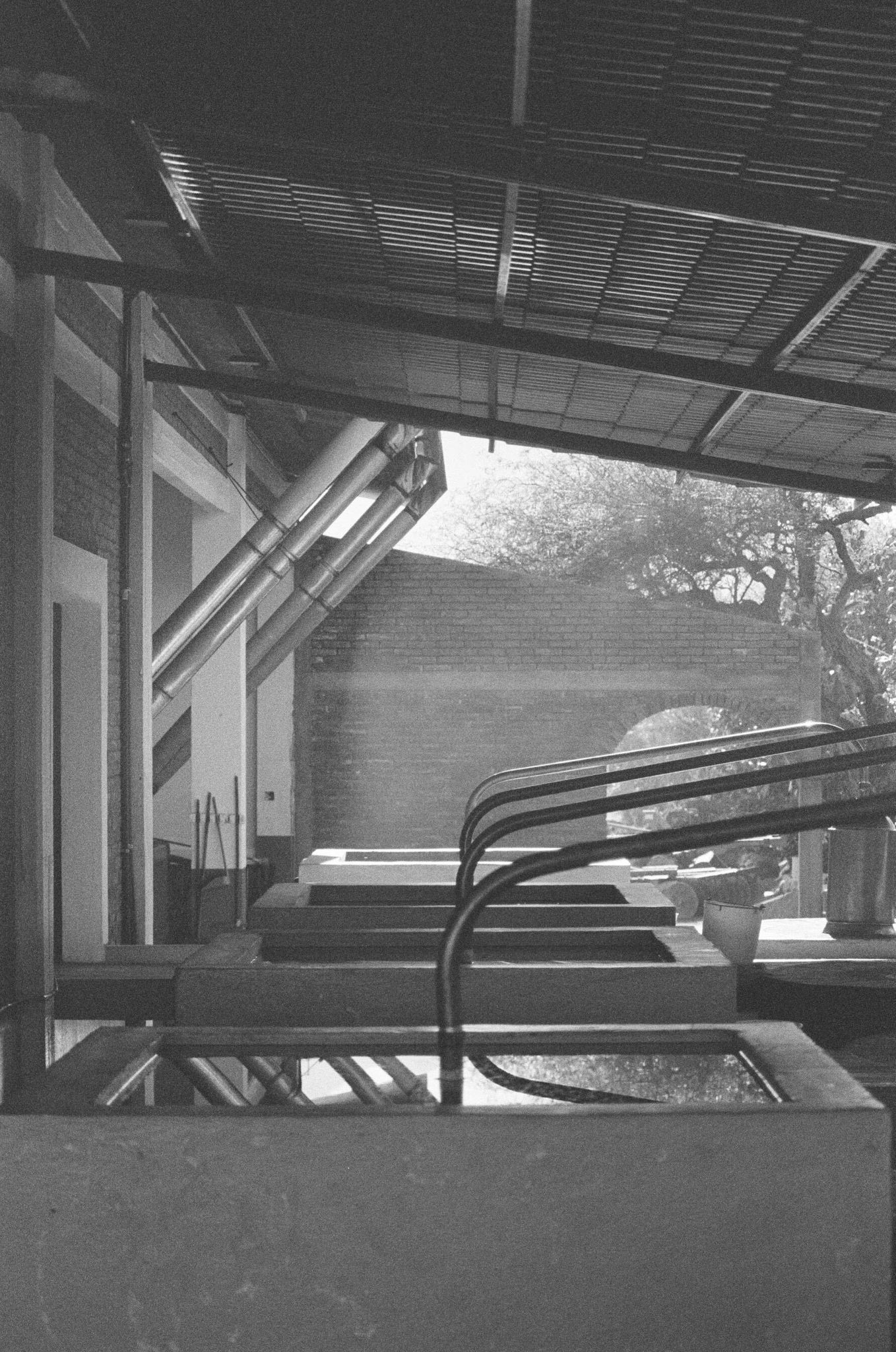 Agave. You’ve seen this word before.