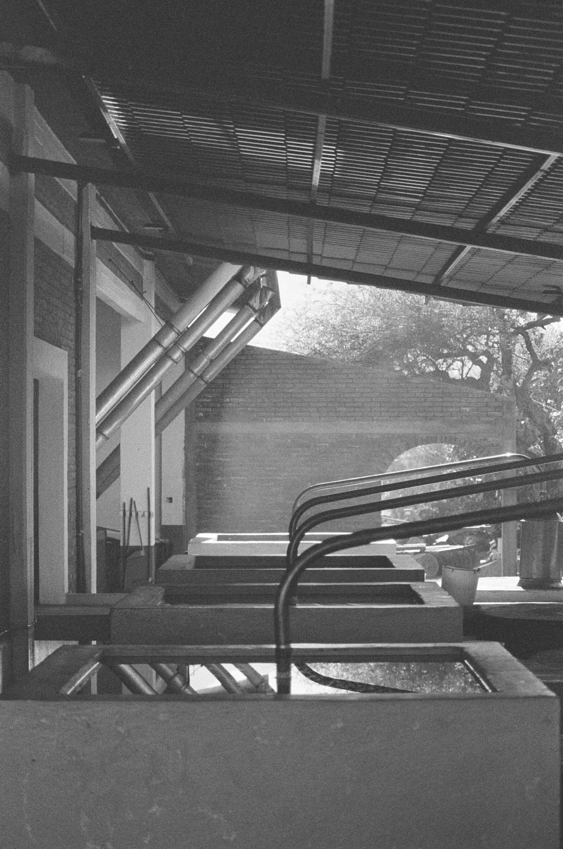 Agave. You’ve seen this word before.