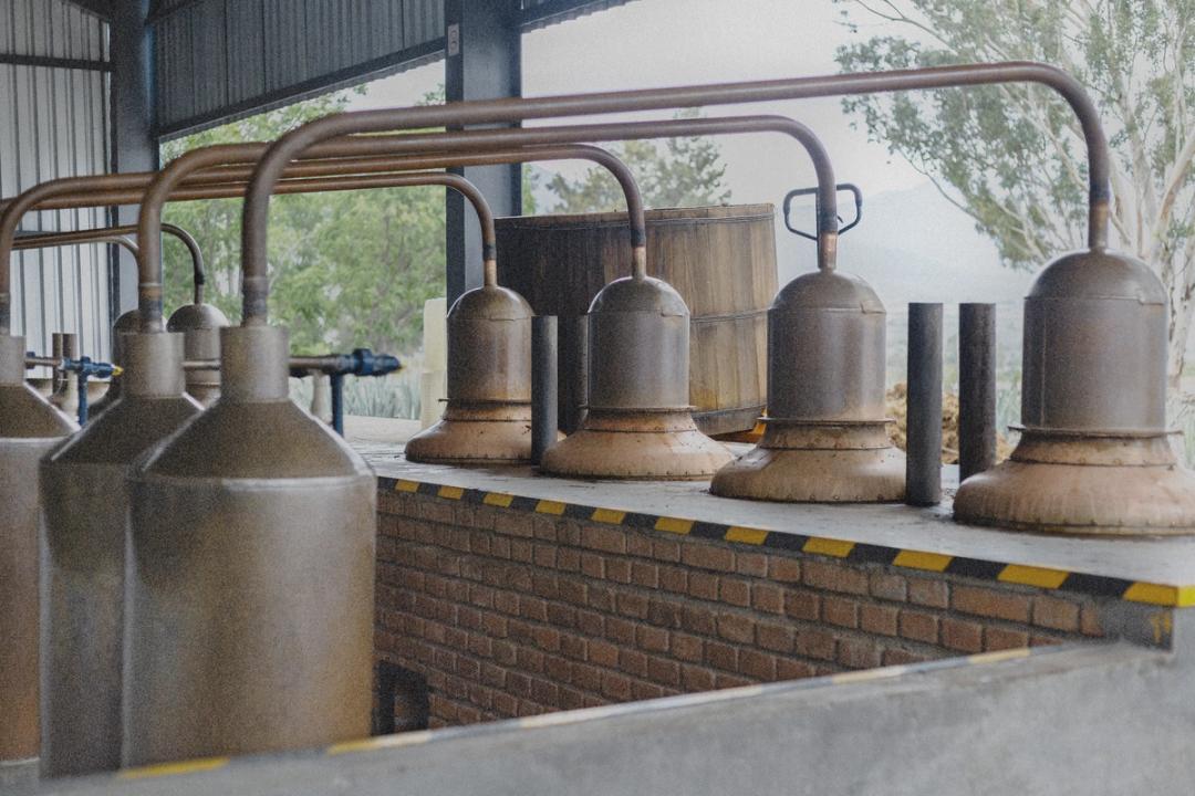 Rosaluna Mezcal distilling in a large barrel