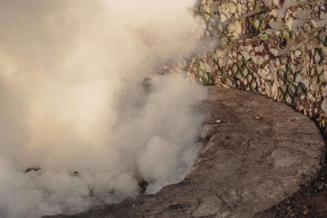 Agaves roasting in a pit of burning mesquite