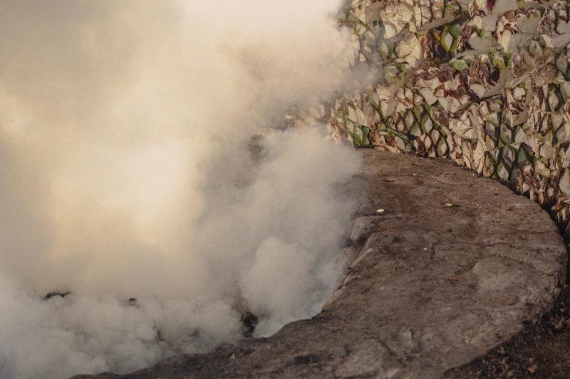 Agaves roasting in a pit of burning mesquite