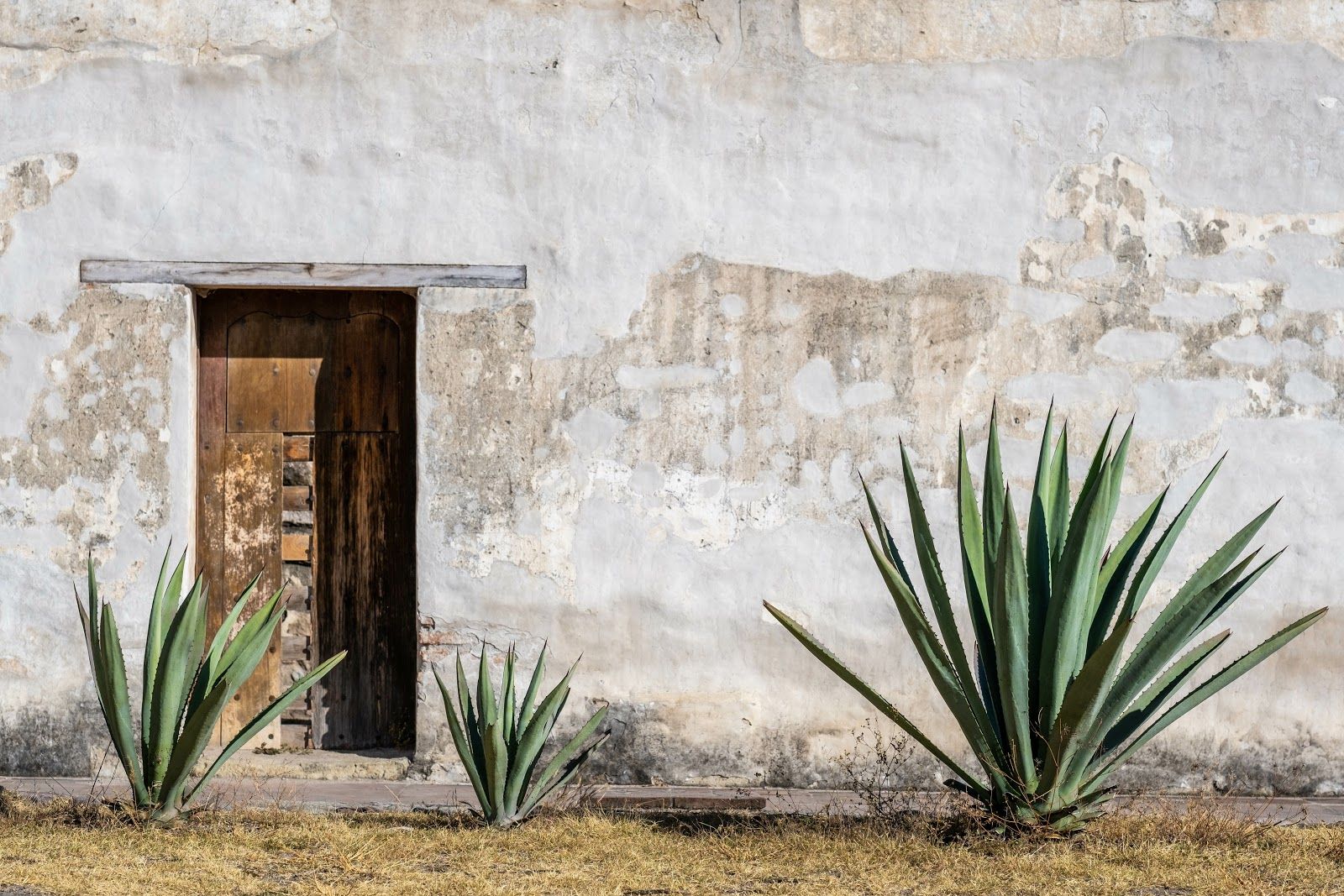 Mezcal regions—Where in Mexico does mezcal come from?