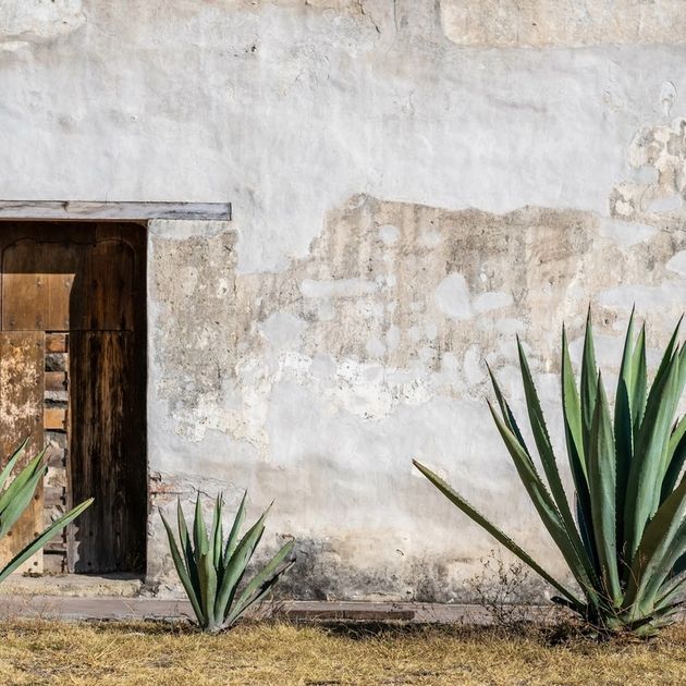 Mezcal regions—Where in Mexico does mezcal come from?