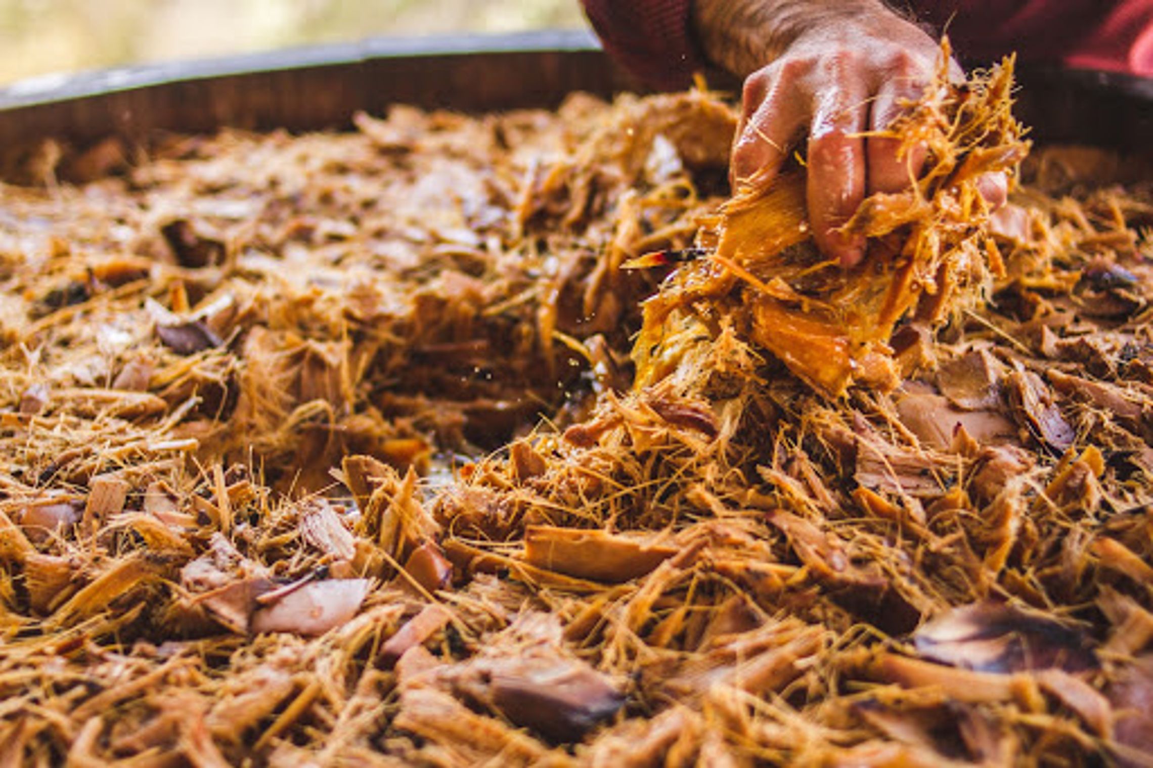 Mezcal Distillery Guide: What's inside?