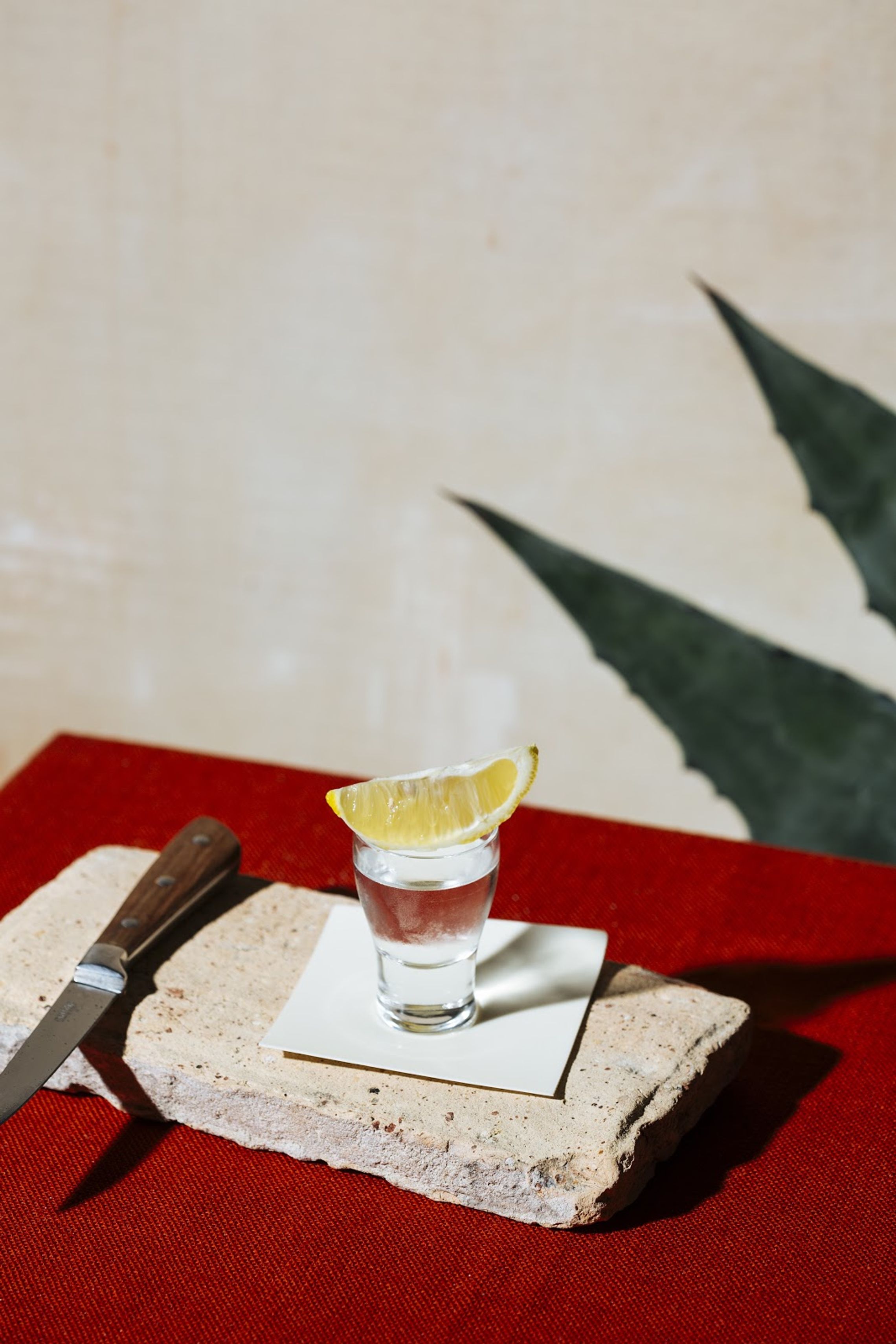 Is Mezcal Better than Tequila?