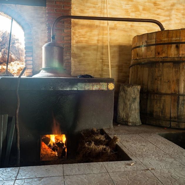 The Origins of Oaxaca Mezcal